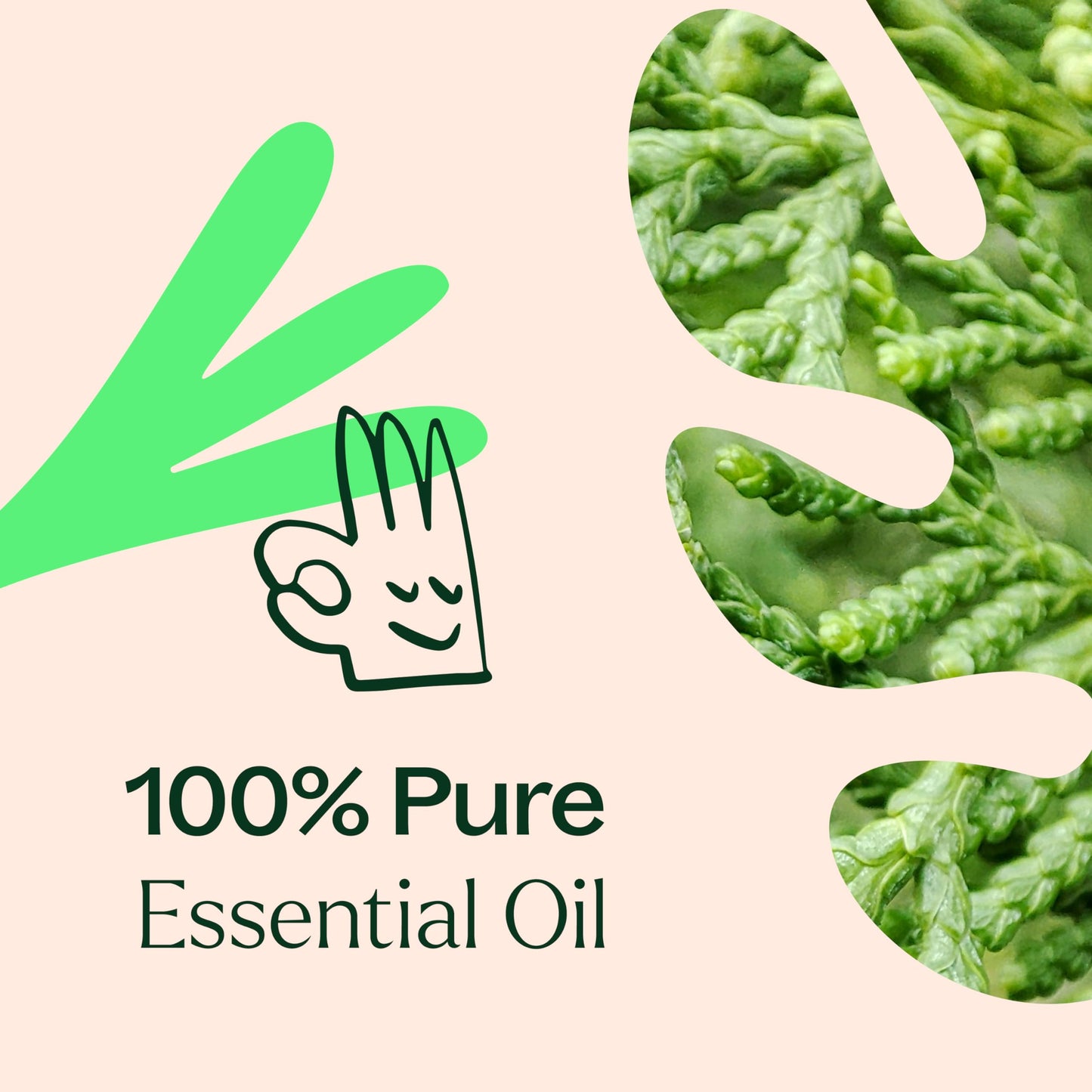 Plant Therapy Deodorizing Essential Oil Blend 30ml