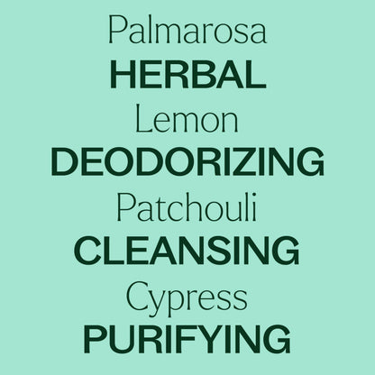 Plant Therapy Deodorizing Essential Oil Blend 30ml