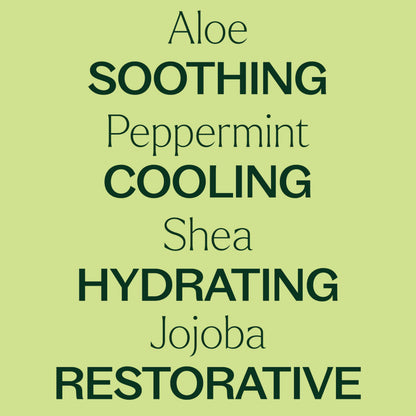Plant Therapy Peppermint Body Lotion with Aloe & Shea — 8oz