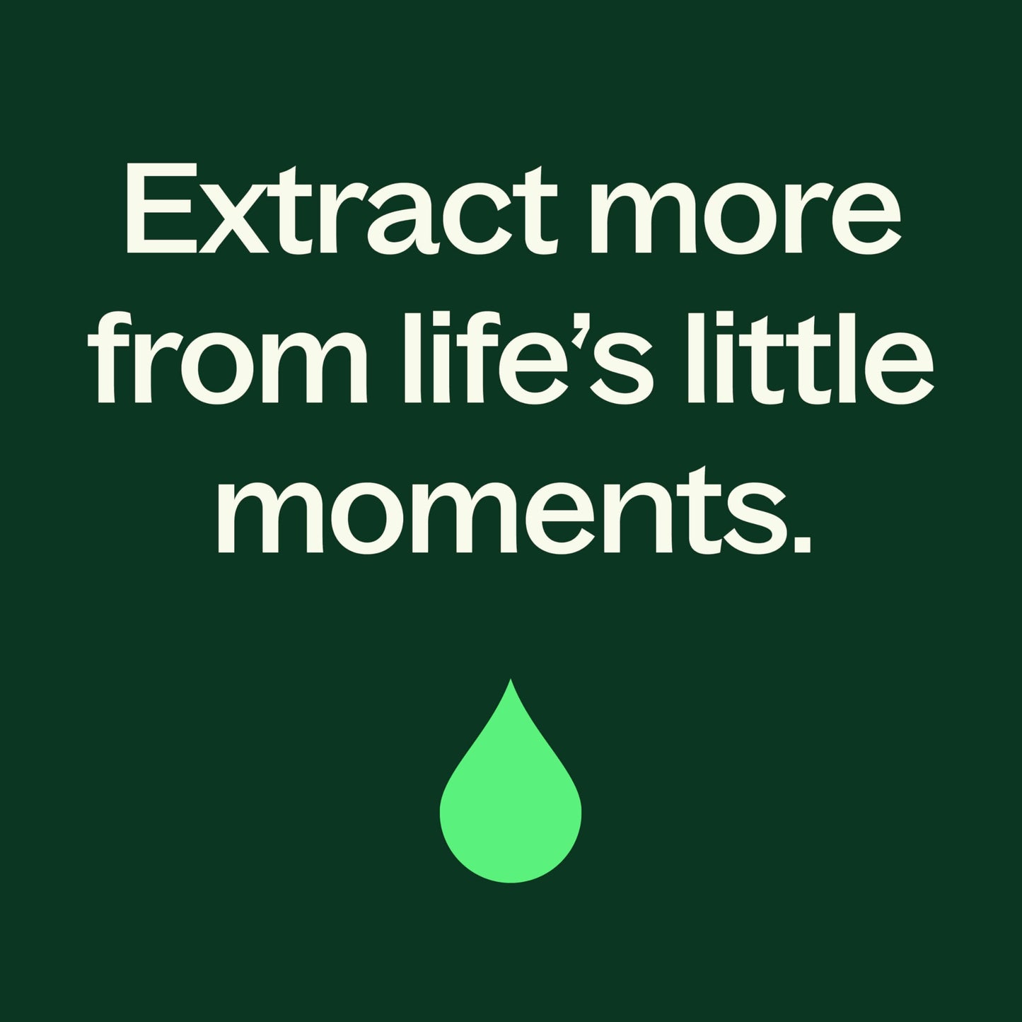 Plant Therapy Peppermint Body Lotion with Aloe & Shea — 8oz