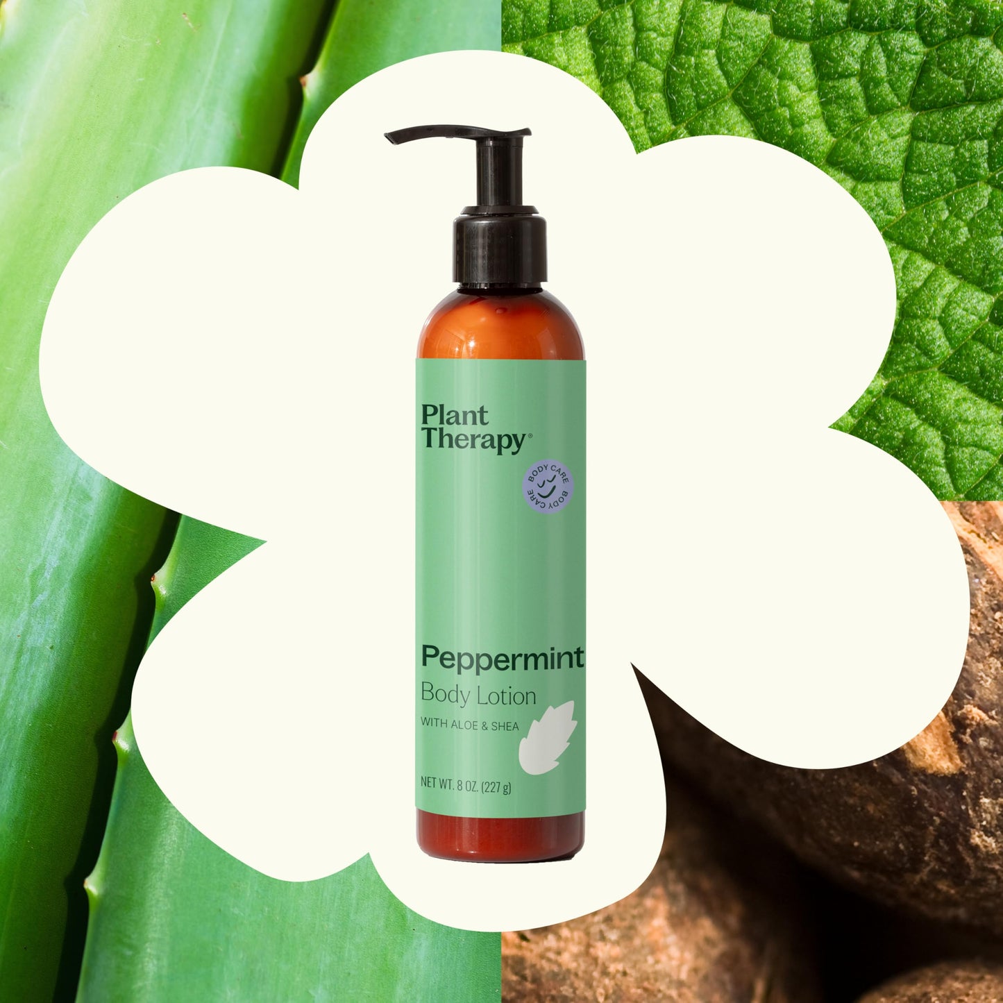 Plant Therapy Peppermint Body Lotion with Aloe & Shea — 8oz