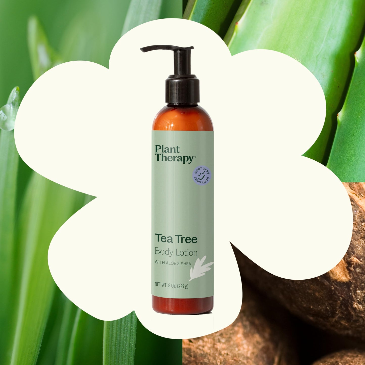 Plant Therapy Tea Tree Body Lotion with Aloe & Shea — 8oz