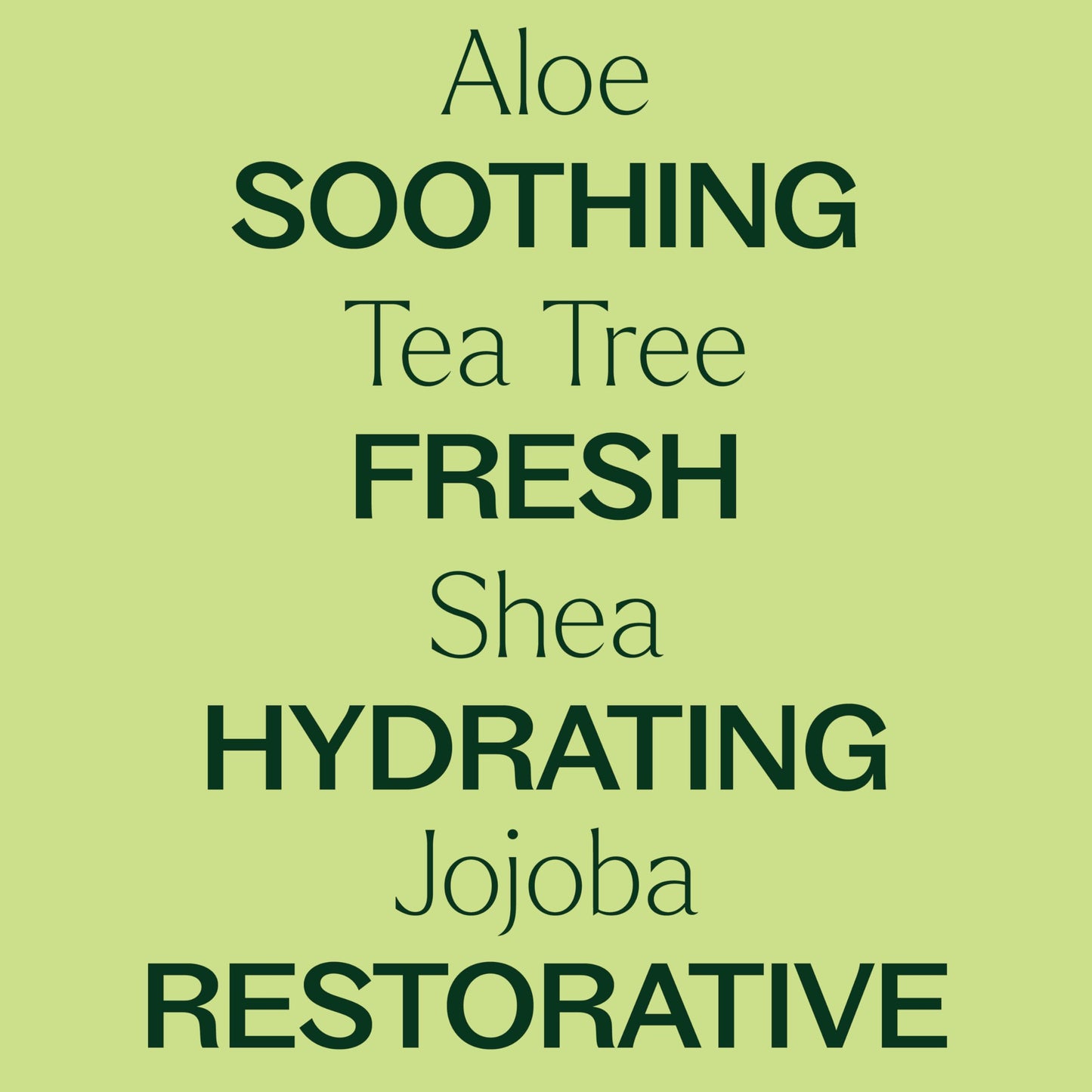 Plant Therapy Tea Tree Body Lotion with Aloe & Shea — 8oz