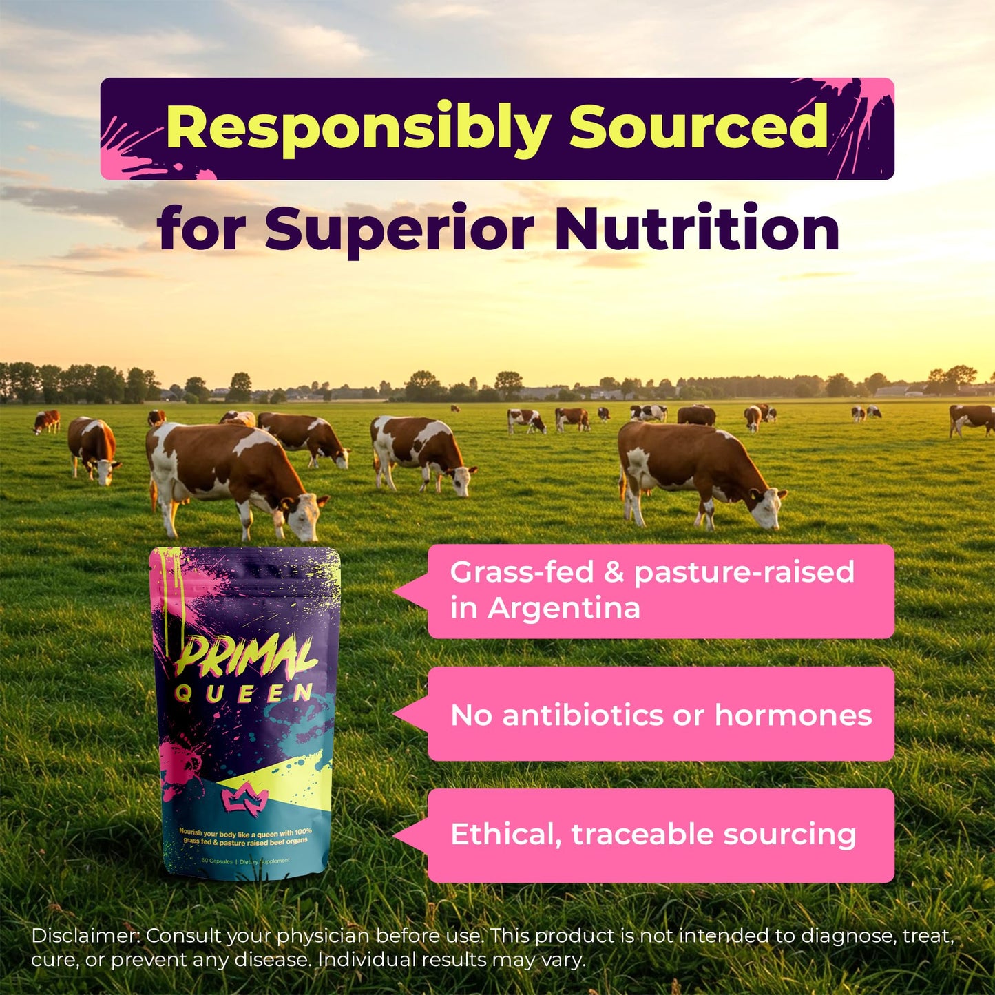 Primal Queen Female Beef Organ Supplement | Grass-Fed Freeze-Dried