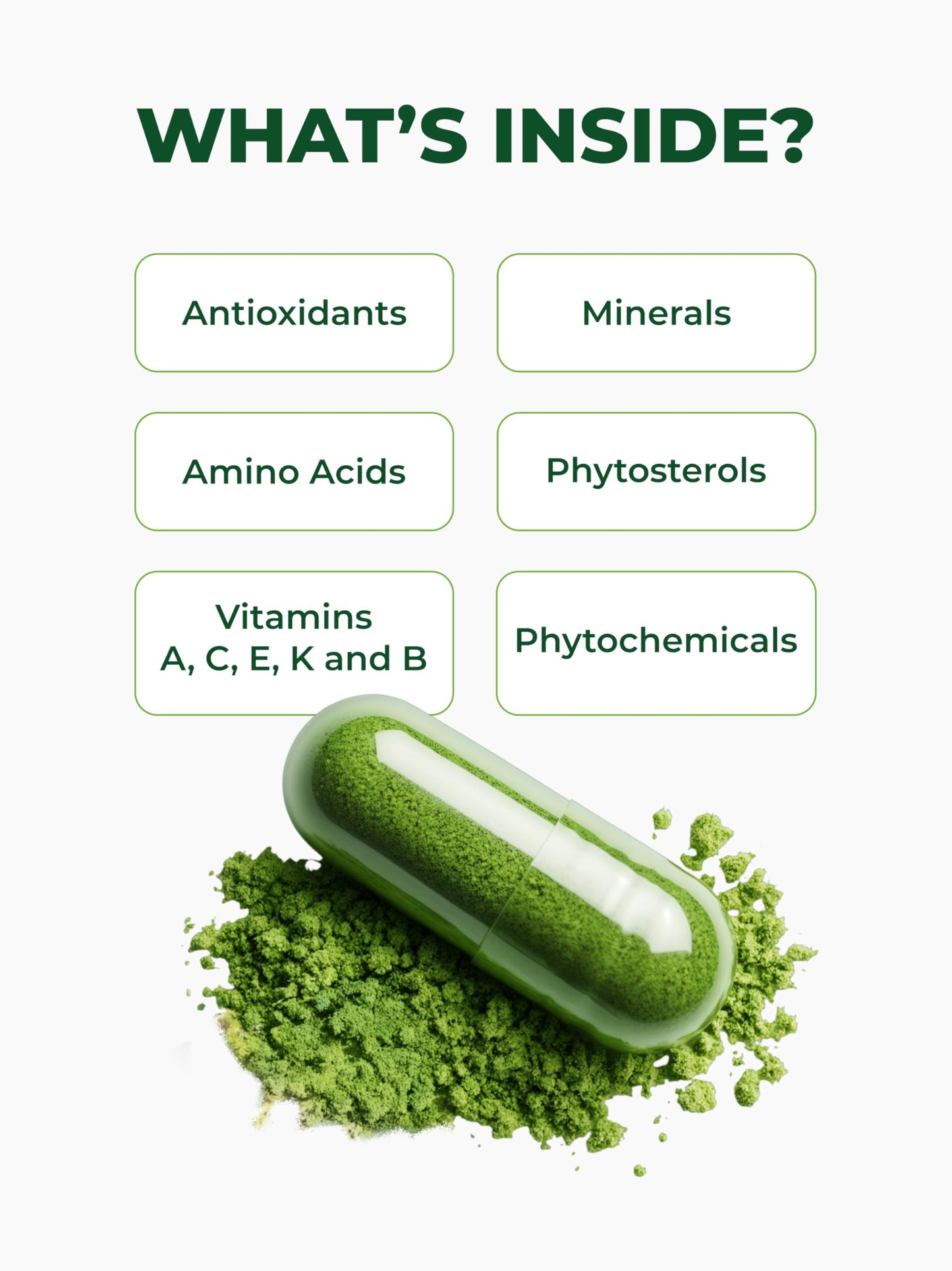 Pura Vida Organic Moringa Capsules 500mg | 120ct Single Origin