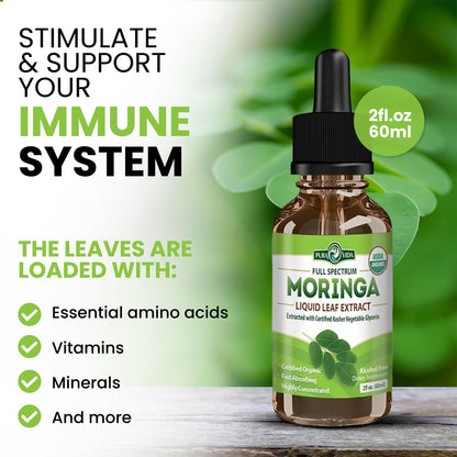 Pura Vida Moringa Leaf Extract Liquid Drops | USDA Organic Bioavailable