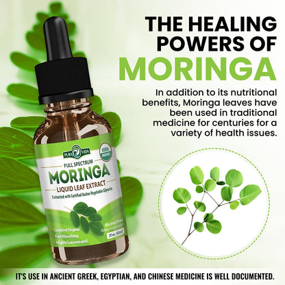 Pura Vida Moringa Leaf Extract Liquid Drops | USDA Organic Bioavailable