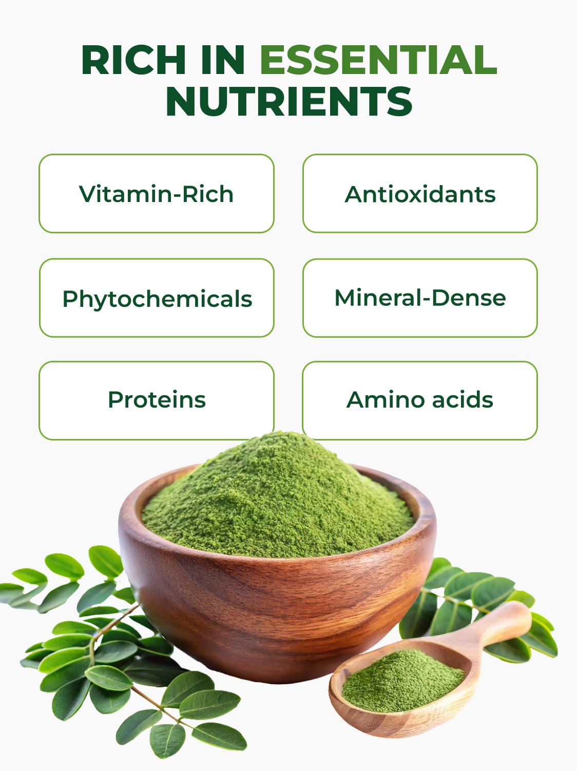 Pura Vida Organic Moringa Leaf Powder 8oz | Single Origin USDA Organic