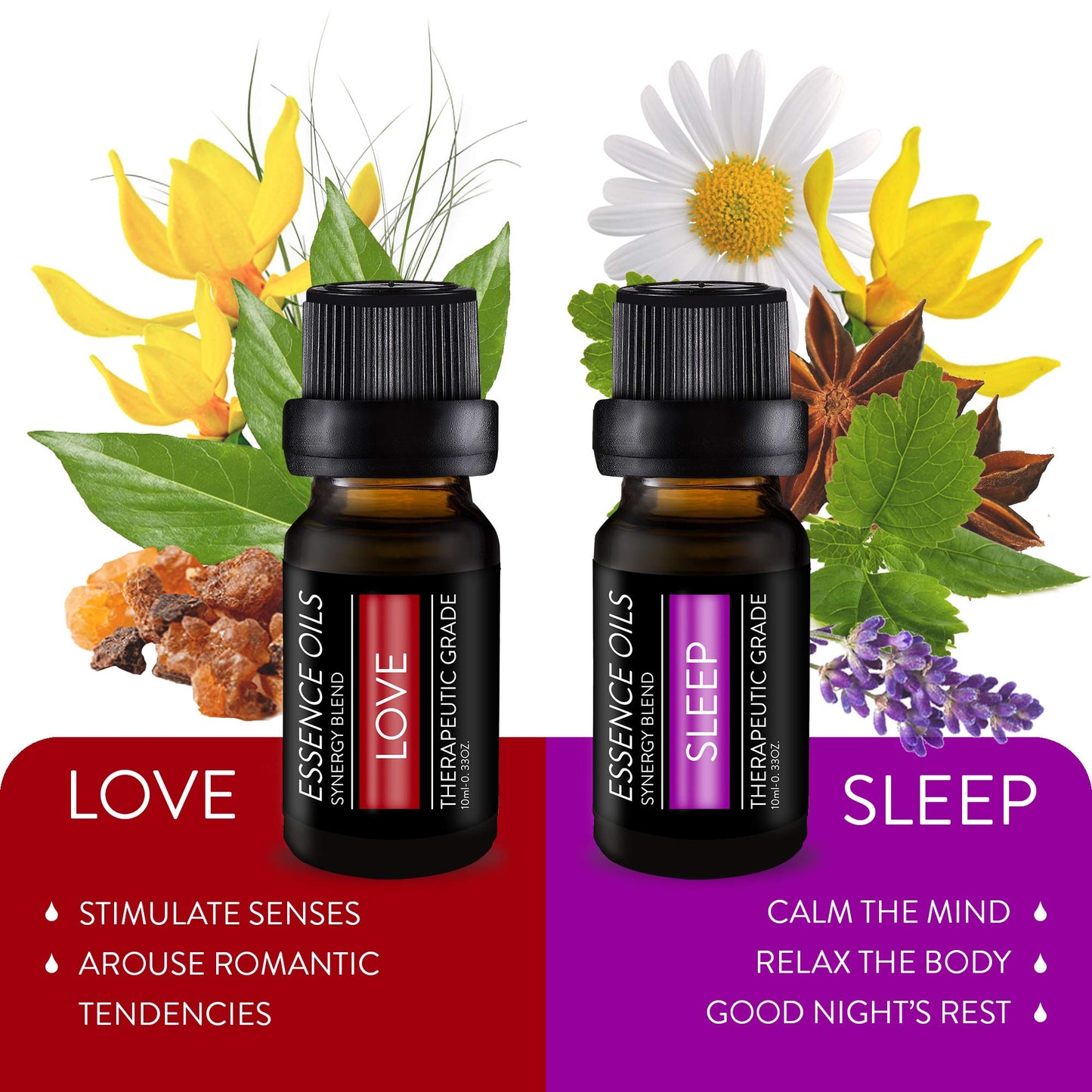 Pure Daily Care Aromatherapy Top 10 Essential Oil Synergy Blend Set 10x10ml
