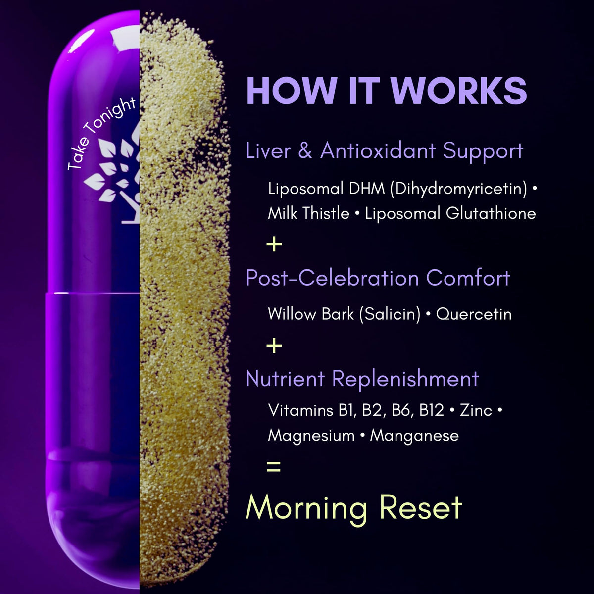 Purple Tree Post-Celebration Wellness Supplement | Liposomal DHM, Glutathione & Milk Thistle for Liver Support | 60 Capsules - Calm Era