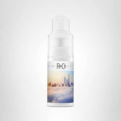 R+Co Skyline Dry Shampoo Powder — TSA-Approved, 1fl oz