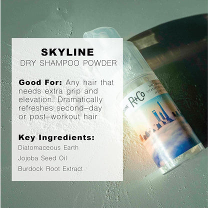 R+Co Skyline Dry Shampoo Powder — TSA-Approved, 1fl oz