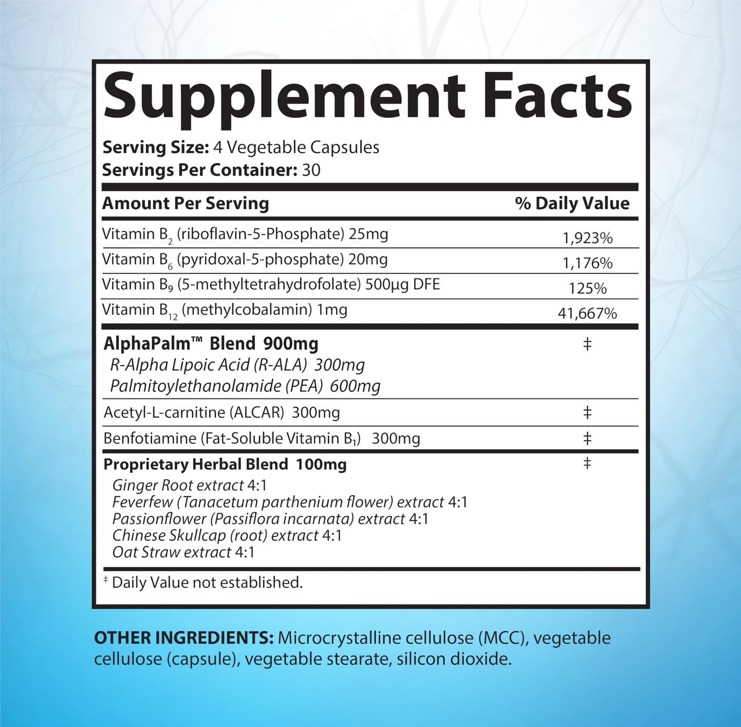 SciatiEase Nerve Comfort Supplement – 6 Bottle Bundle