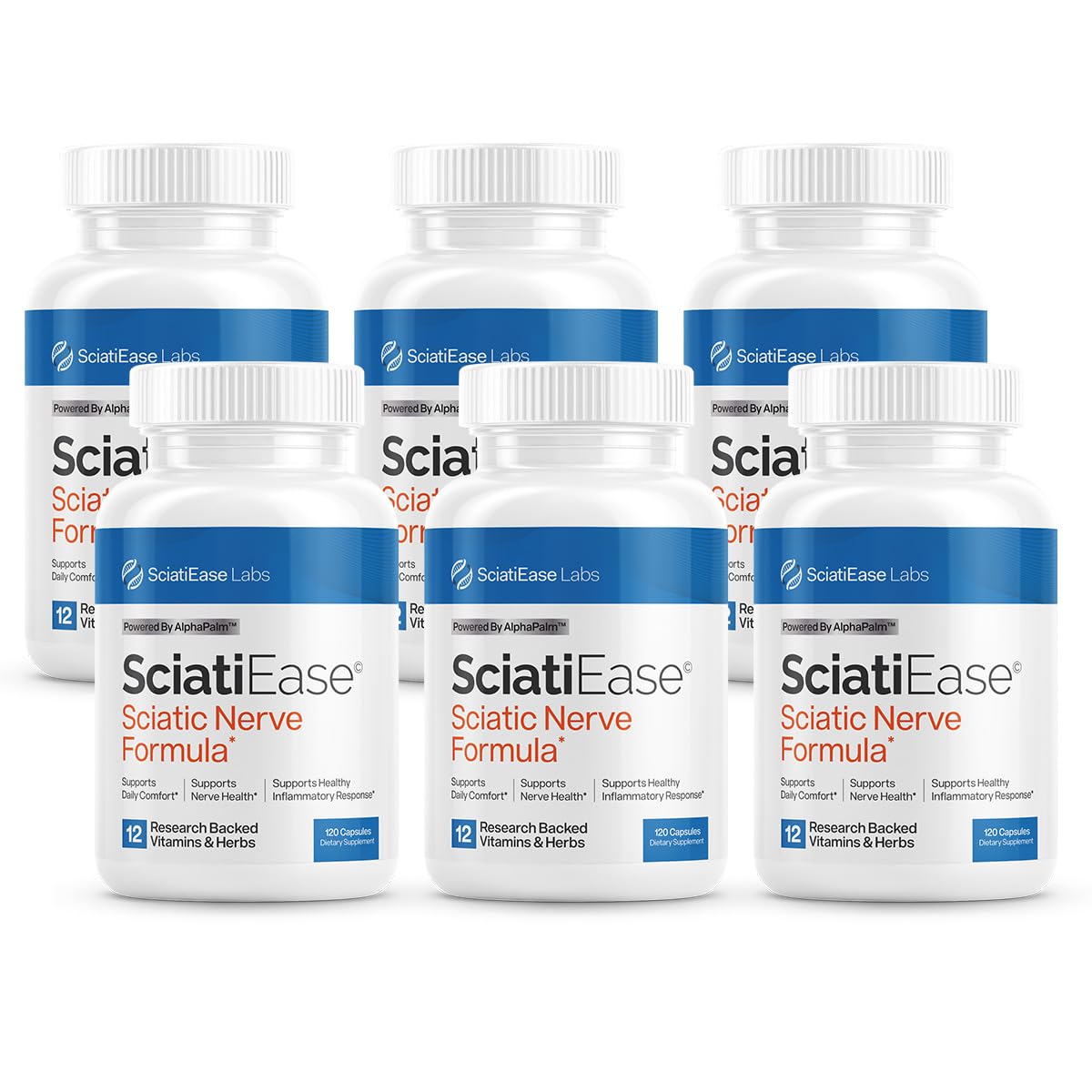 SciatiEase Nerve Comfort Supplement – 6 Bottle Bundle