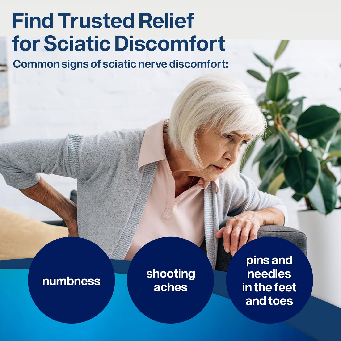 SciatiEase Nerve Comfort Supplement – 120 Capsules