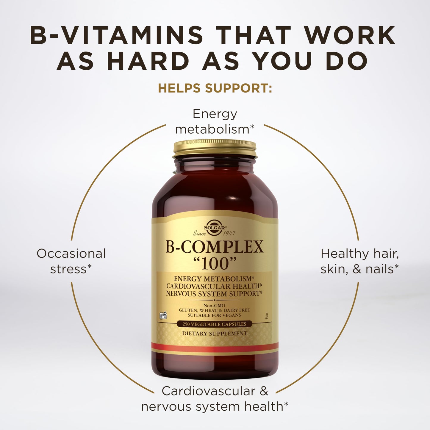 Solgar B-Complex 100 – Energy & Nervous System Support | 250 Veg Capsules