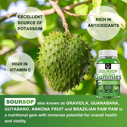 Soursop Graviola Gummies 2200mg — Sea Moss, Vitamin C & Zinc, 2 Pack