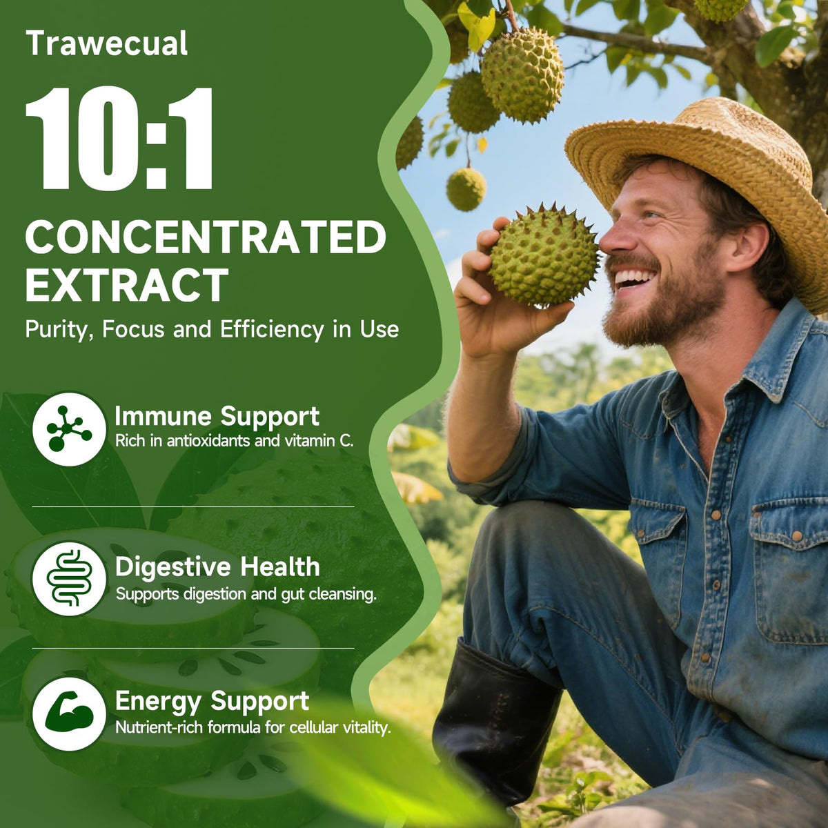 Soursop Graviola Liquid Drops 10:1 — Immune Support & Antioxidants - Calm Era