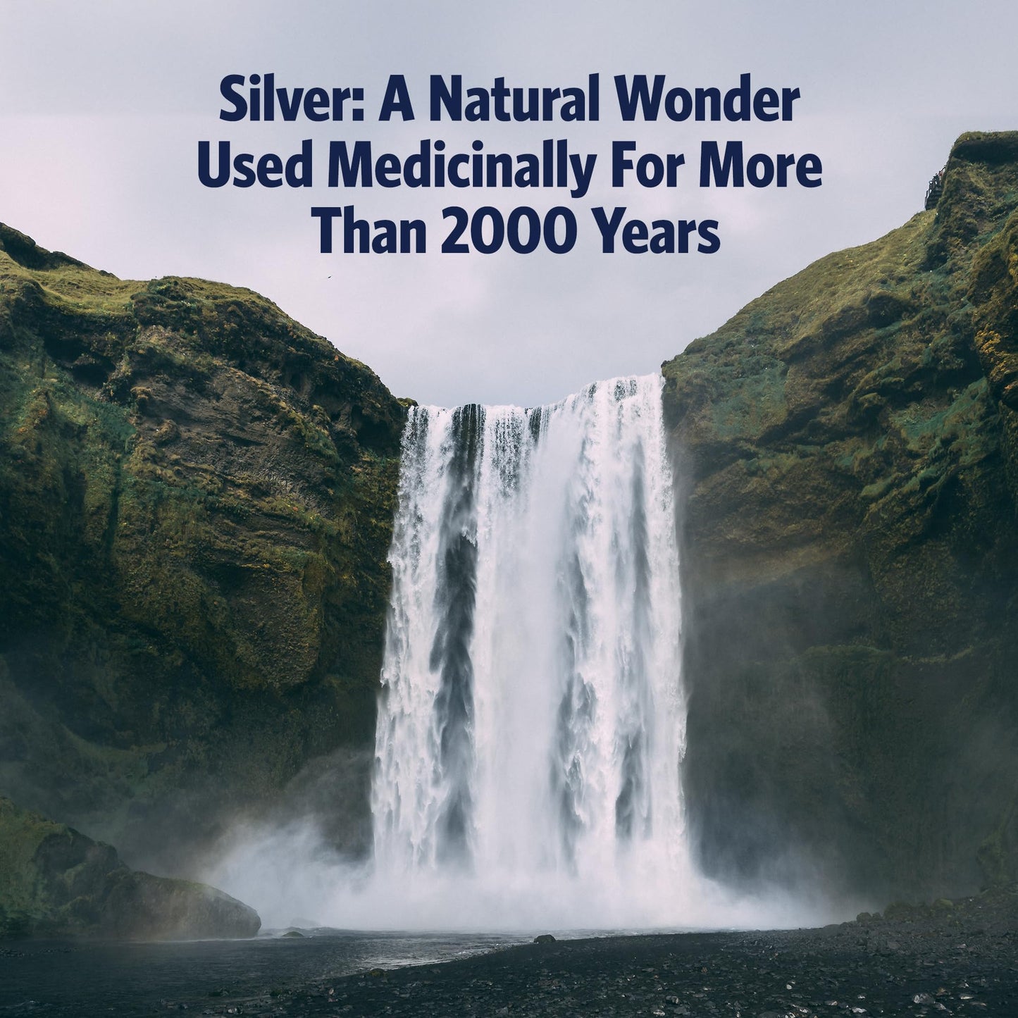 Sovereign Silver Colloidal Silver Hydrosol 10ppm | 16fl oz Amber Glass