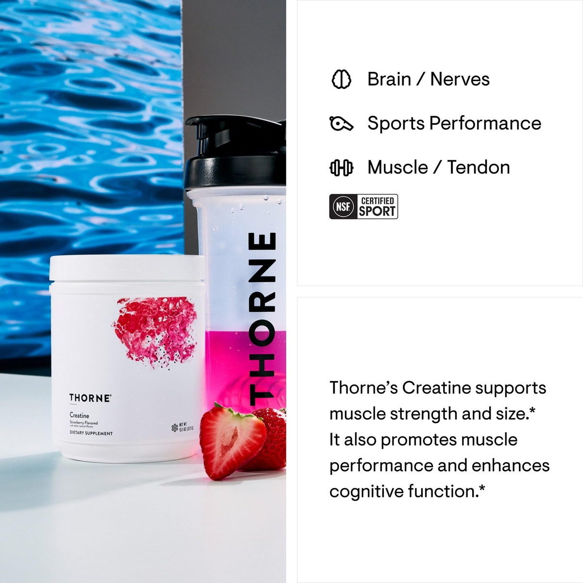 THORNE Creatine – Micronized Creatine Monohydrate Powder, Strawberry, 60 Servings | NSF Certified for Sport - Calm Era