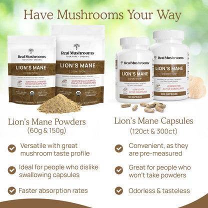 Real Mushrooms Lion's Mane Capsules 300ct | Organic USDA Beta-Glucan Rich