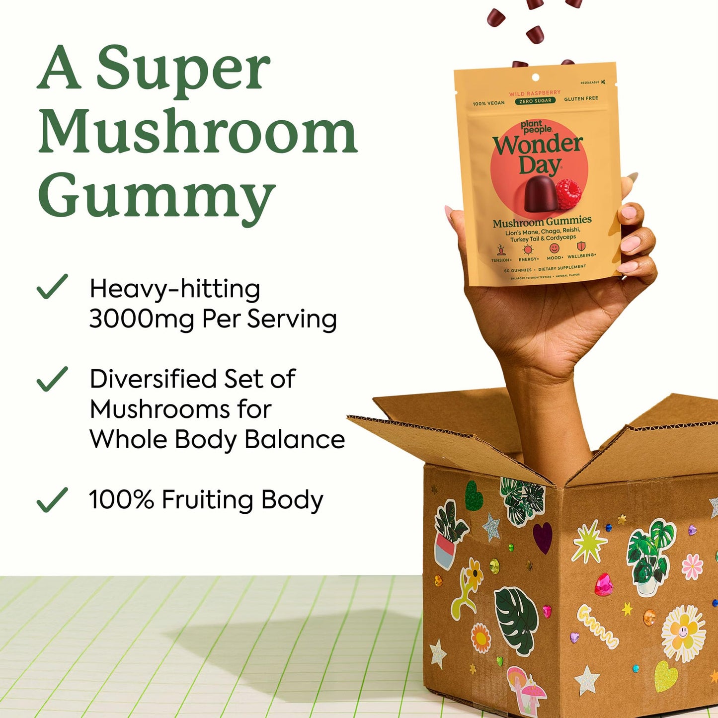 Plant People WonderDay Mushroom Gummies – Lion’s Mane, Cordyceps & Chaga | Immune, Energy & Mood | Vegan | 60 Count