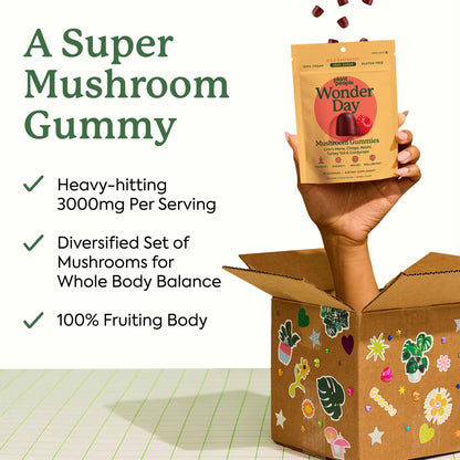 Plant People WonderDay Mushroom Gummies – Lion’s Mane, Cordyceps & Chaga | Immune, Energy & Mood | Vegan | 60 Count