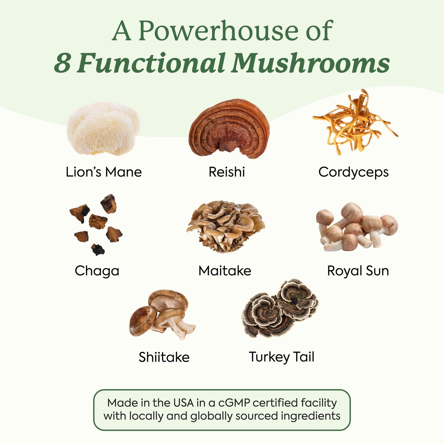 Plant People WonderDay Mushroom Gummies – Lion’s Mane, Cordyceps & Chaga | Immune, Energy & Mood | Vegan | 60 Count