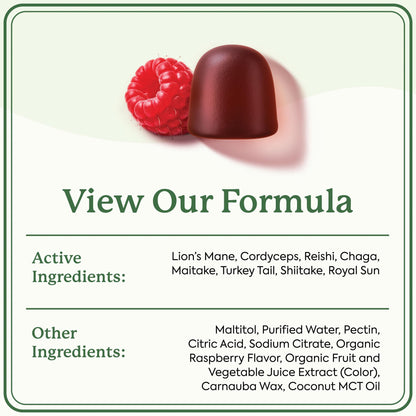 Plant People WonderDay Mushroom Gummies – Lion’s Mane, Cordyceps & Chaga | Immune, Energy & Mood | Vegan | 60 Count