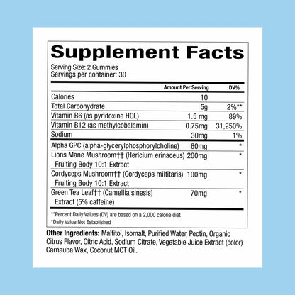 WonderFocus Mushroom Gummies – Lion’s Mane & Cordyceps Nootropic Brain Support | Vegan, Sugar-Free | Citrus | 60 Count