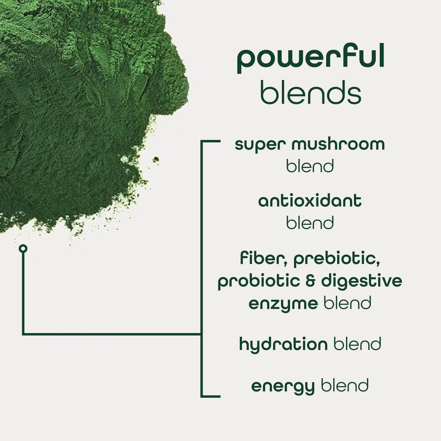 Zena Nutrition Organic Super Greens Powder – Energy & Hydration | 40 Packets
