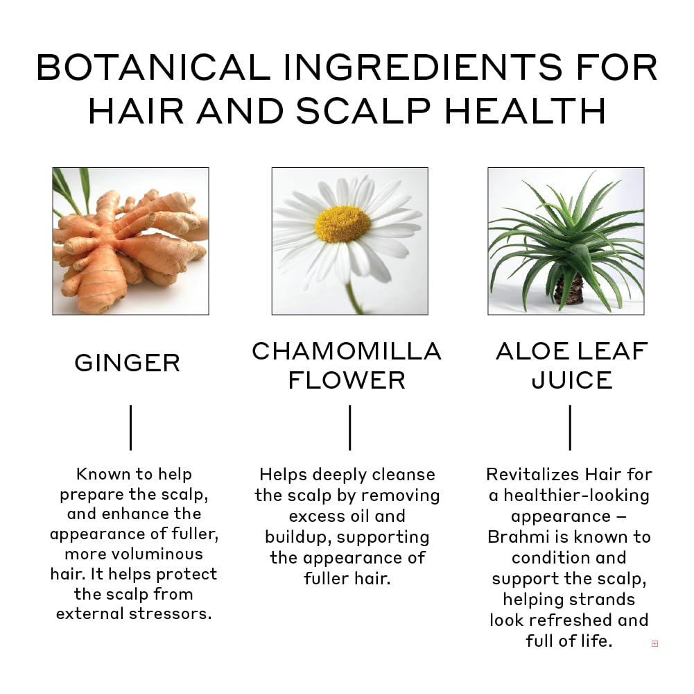 Zenagen Revolve Conditioner – Lightweight Scalp Hydration for Fuller-Looking Hair