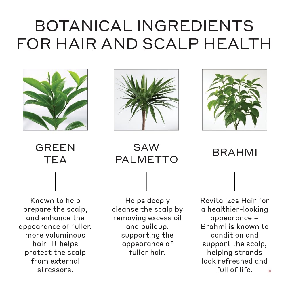 Zenagen Revolve Men’s Thickening Shampoo – Plant-Based 5-Minute Treatment 75mL
