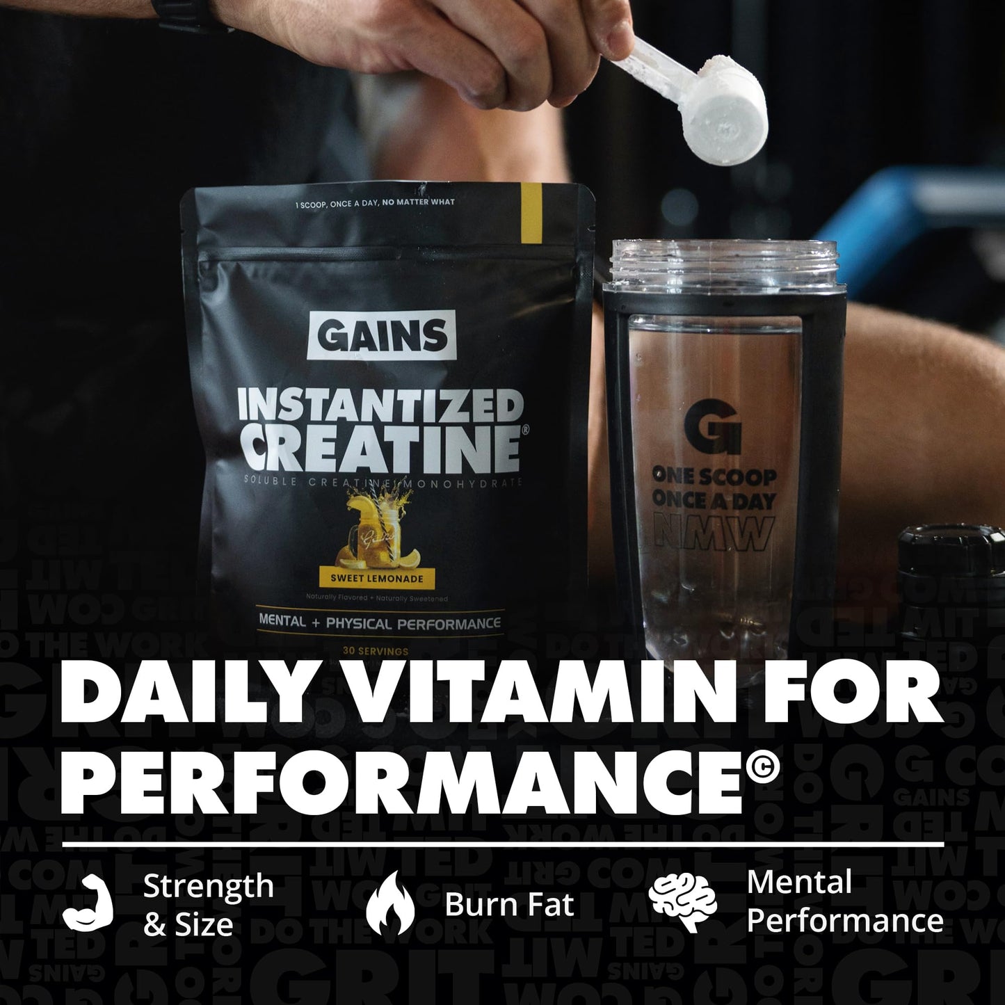 Gains in Bulk Instantized Creatine Monohydrate – Sweet Lemonade 30 Servings